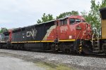 CN 2448